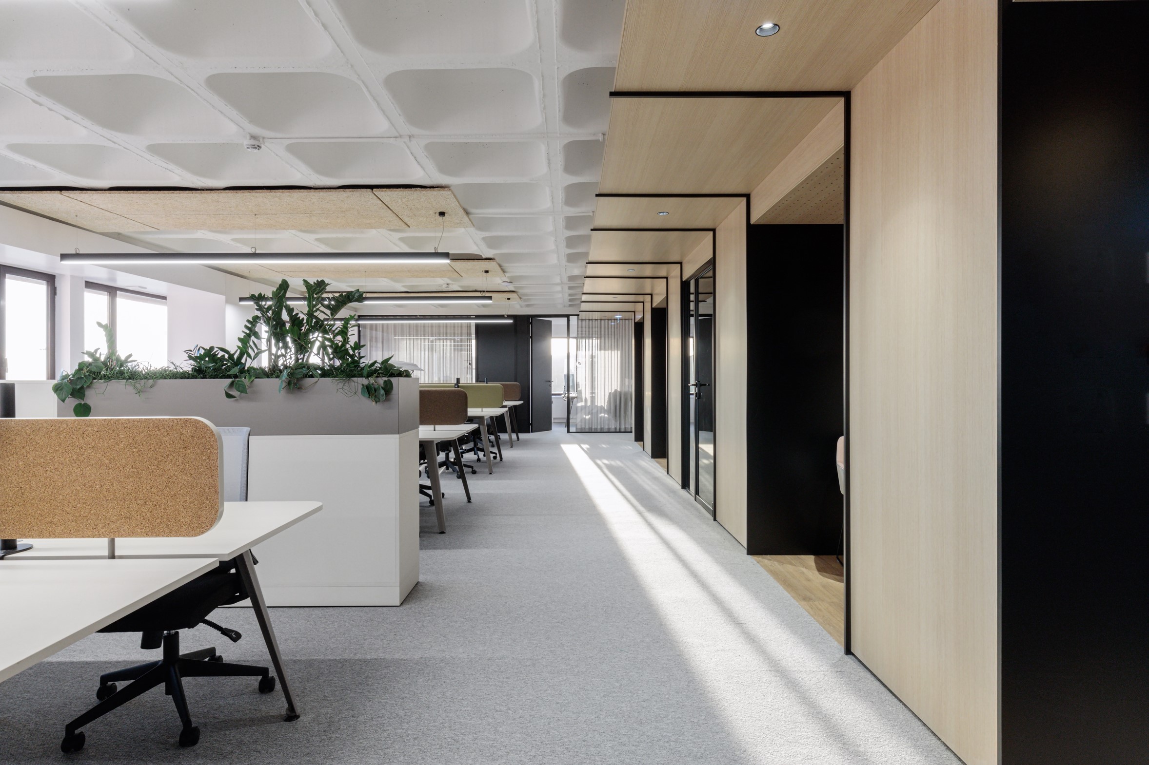 Featured image for “SPS Law Firm launches new office concept”